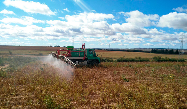 Desecado en cultivo de patata