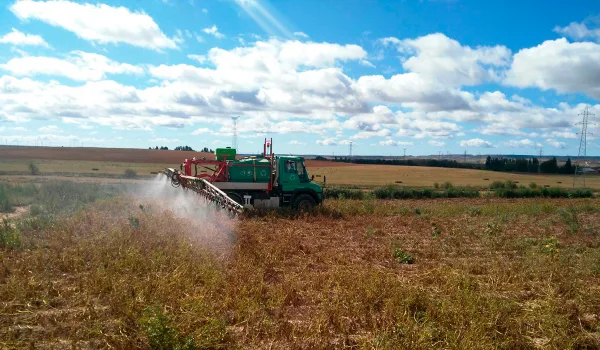 Desecado en cultivo de patata
