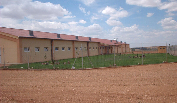 Centro Inseminación Porcina