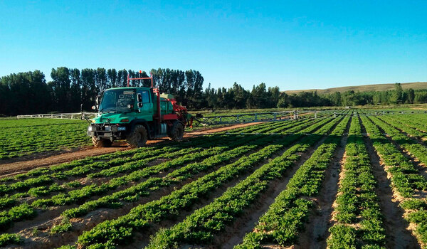 Aplicación   fitosanitaría en hortícolas